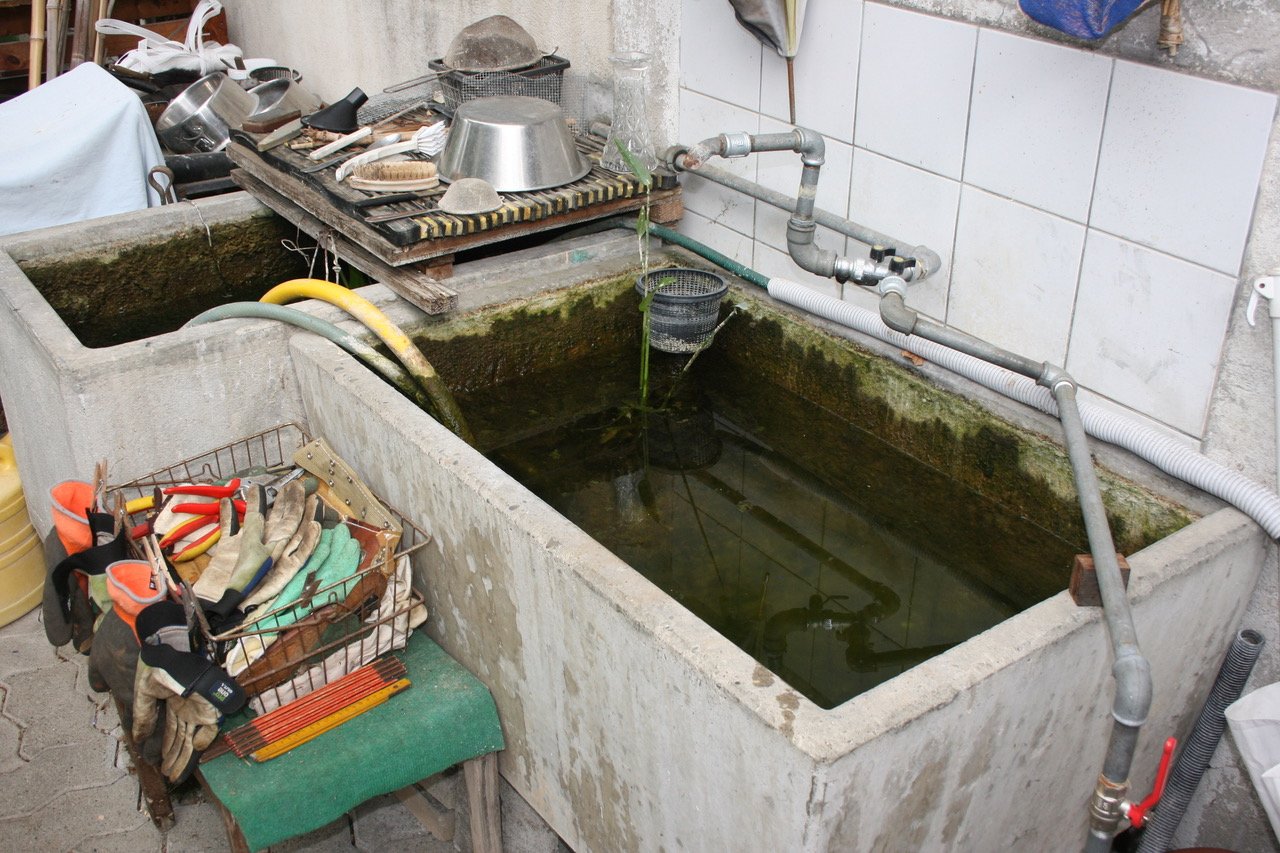 IMG_4464 IMG_4464
